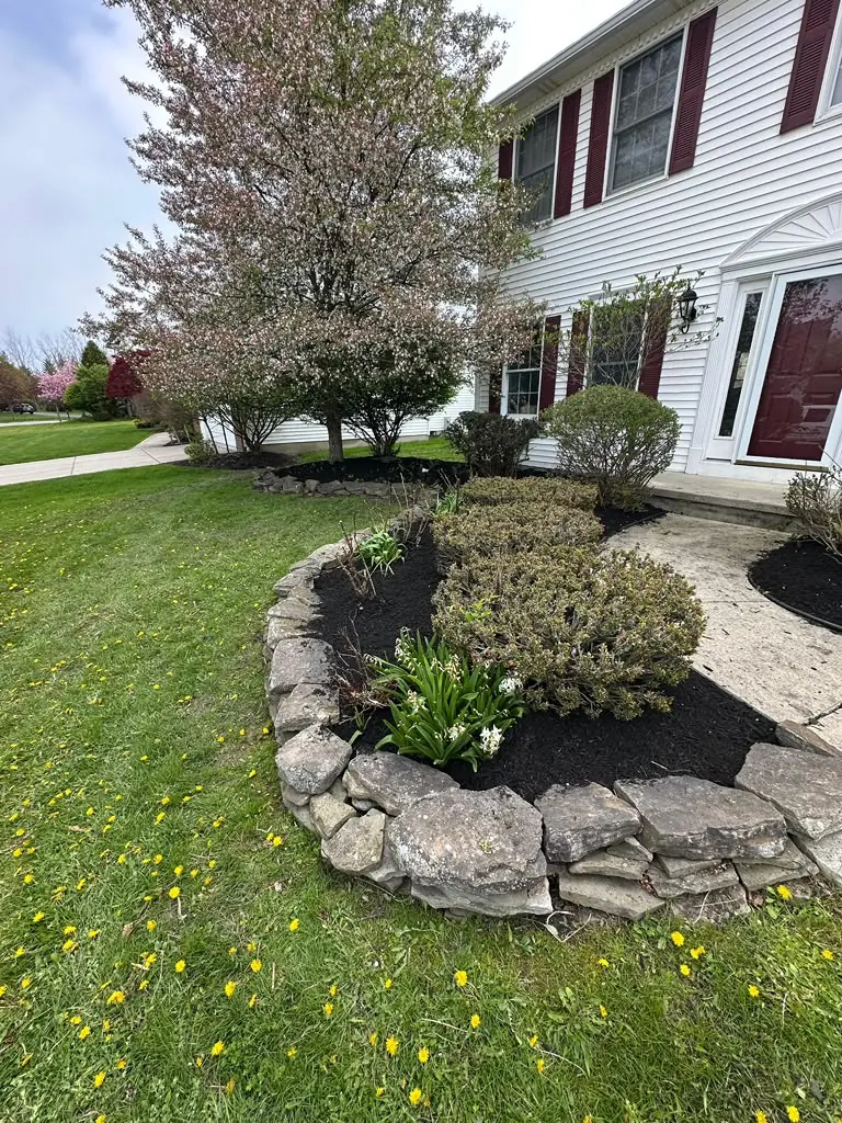 Stone-edged garden bed with dogwood and hostas in Buffalo, NY