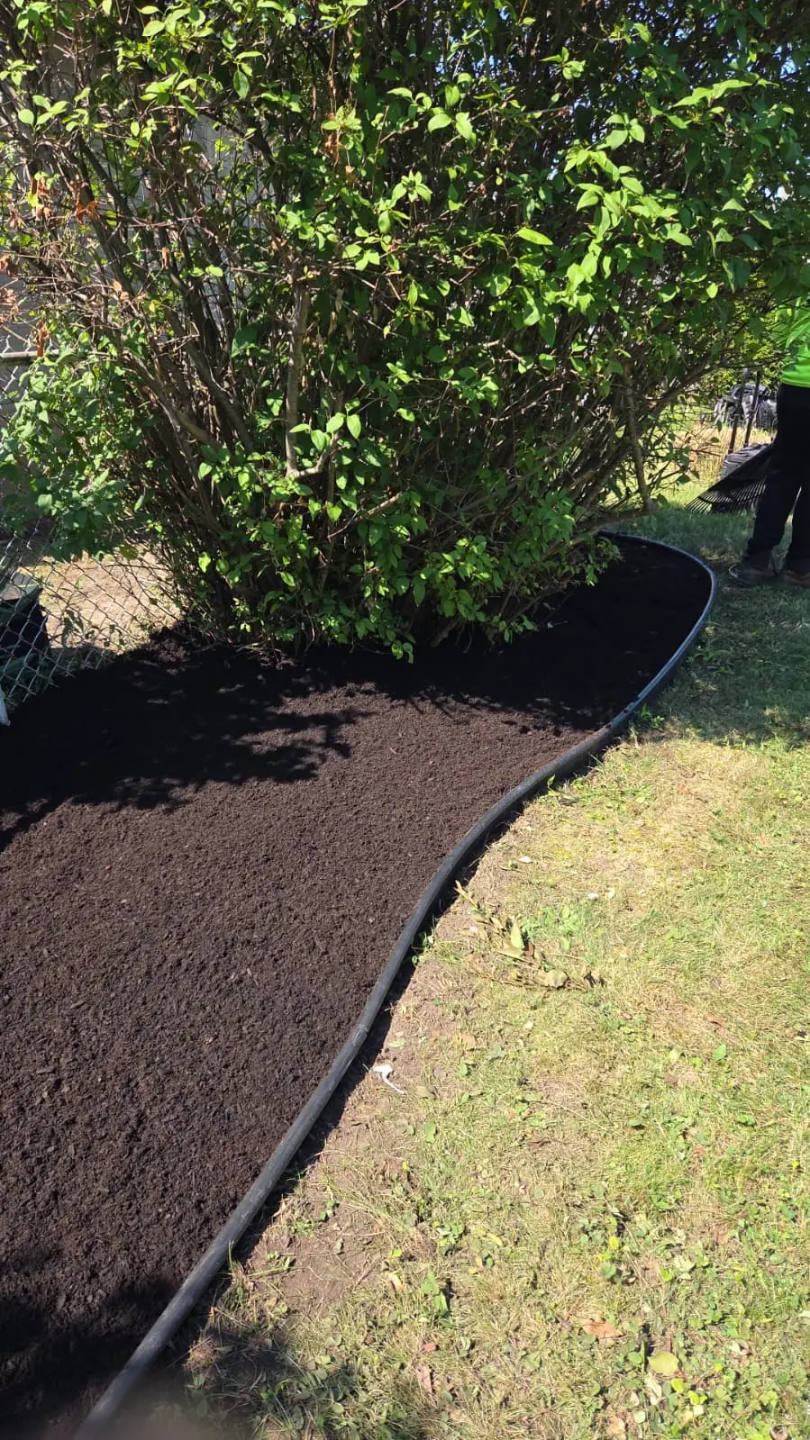 Fresh mulch around a flowering tree bed in Buffalo, NY