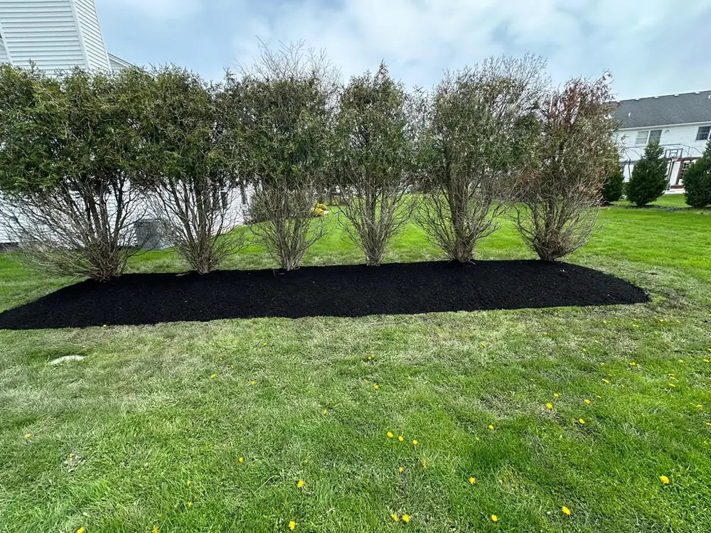 Dark mulch bed freshly laid along a fence line in Buffalo, NY