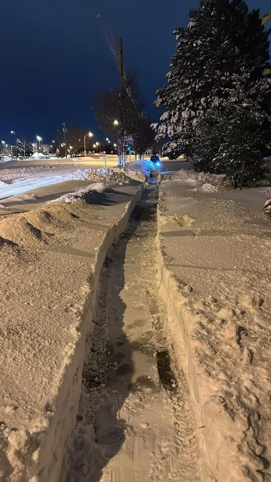 Sidewalk shoveled through waist-high snow in Buffalo, NY
