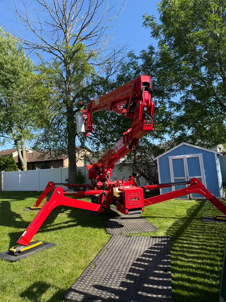 Aerial lift crew trimming near the yard in Buffalo, NY