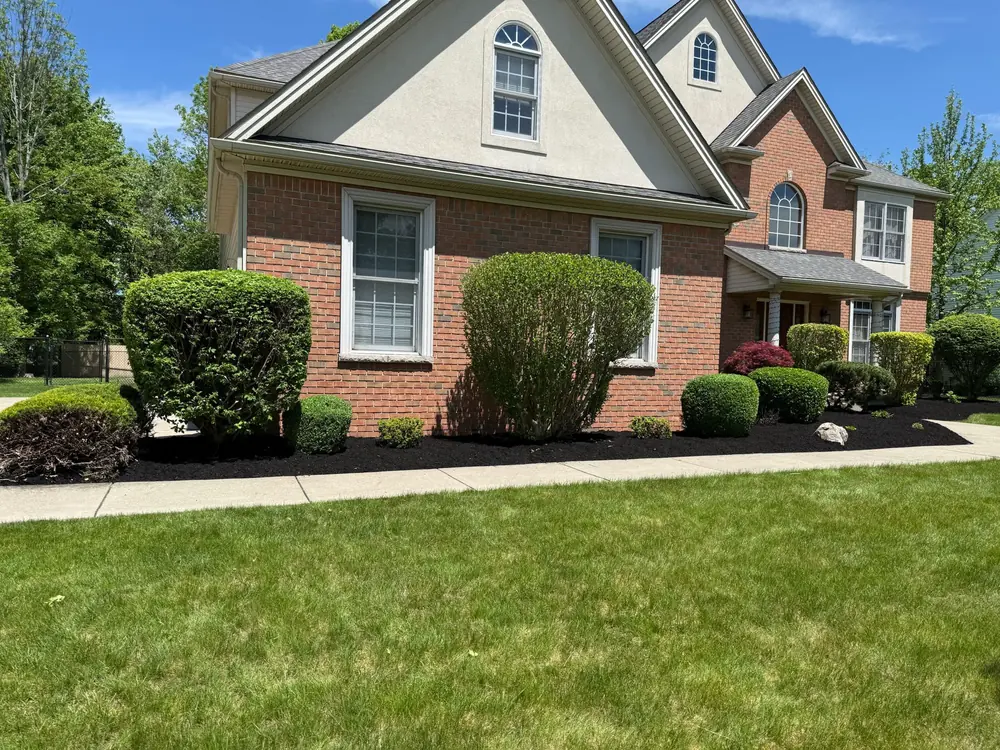 Neatly trimmed boxwood hedges along a walkway in Buffalo, NY