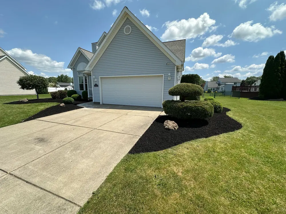 Sculpted topiary shrubs by the garage entrance in Buffalo, NY