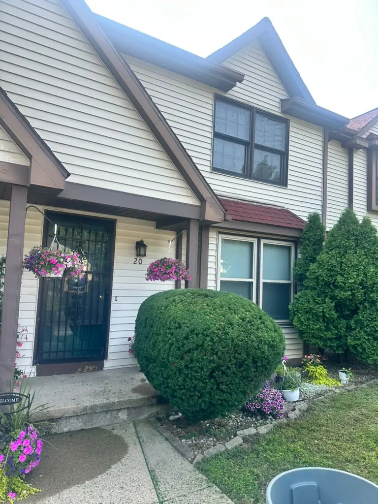 Large shrub neatly shaped beside the front door in Buffalo, NY
